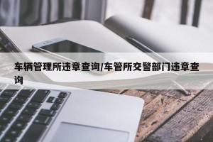 车辆管理所违章查询/车管所交警部门违章查询