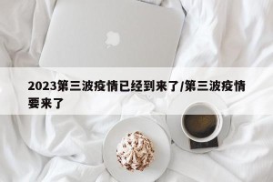 2023第三波疫情已经到来了/第三波疫情要来了